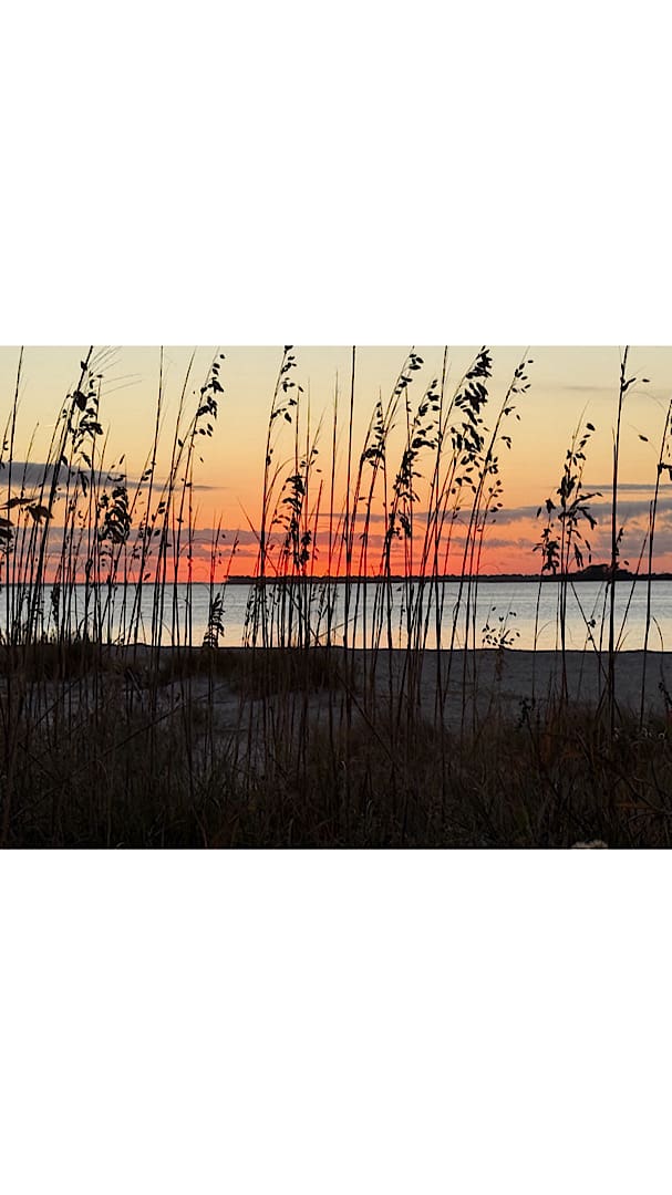 sunset11